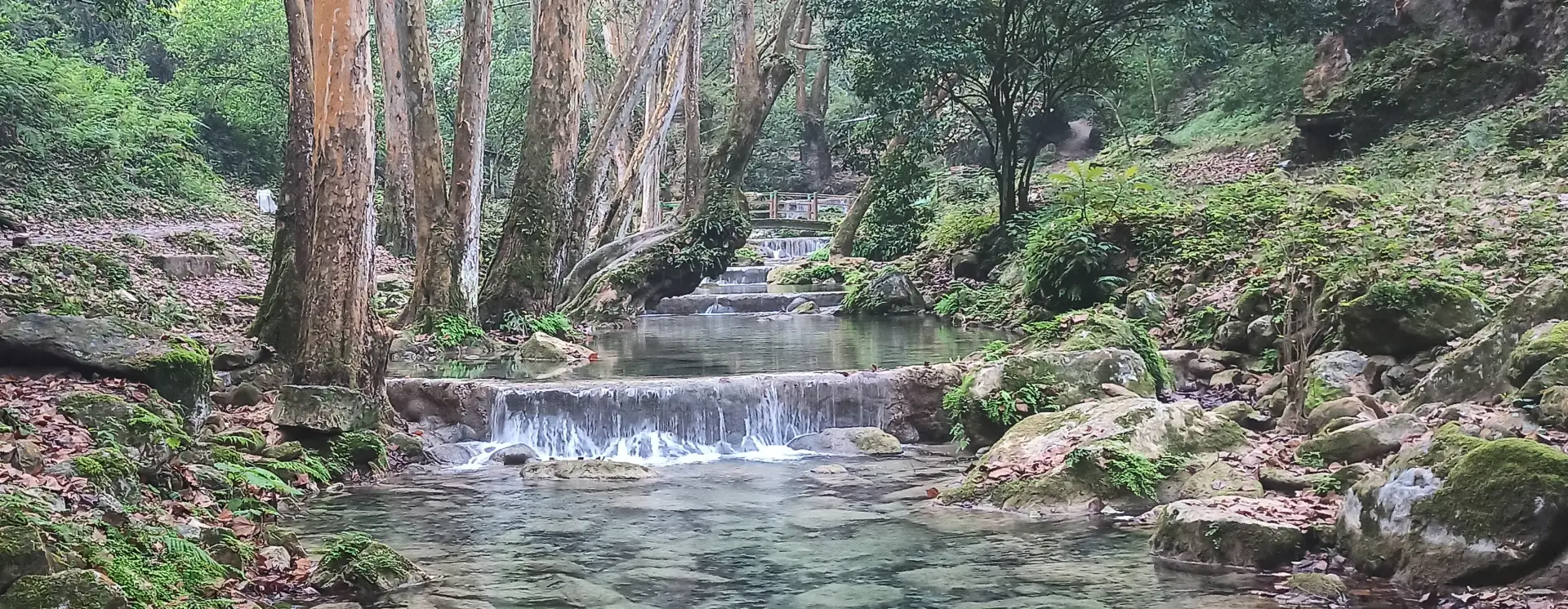 Arroyo Seco Querétaro