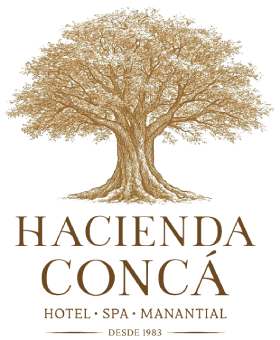 Logo Hotel Spa Hacienda Concá